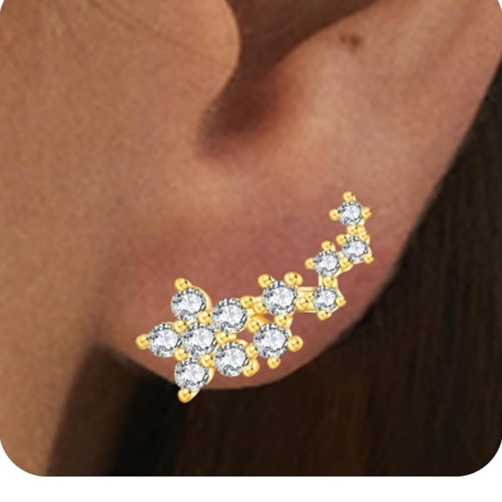 Elegant Gold and Silver Women's Earrings - Picture 1 of 5